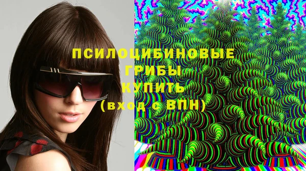 а пвп мука Бородино