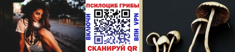 Галлюциногенные грибы Cubensis  Северобайкальск 