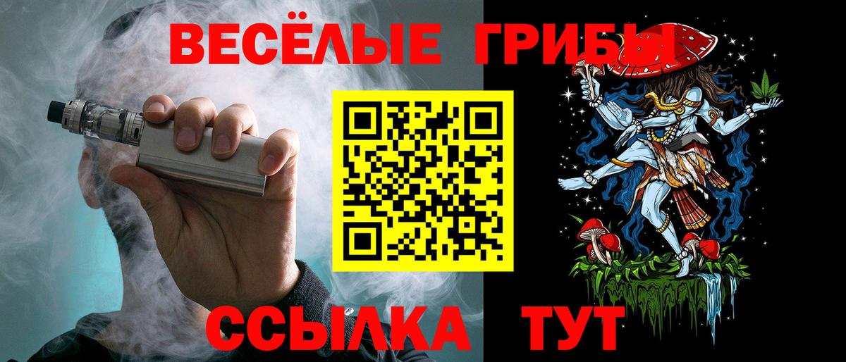 Псилоцибиновые грибы Psilocybine cubensis Северобайкальск